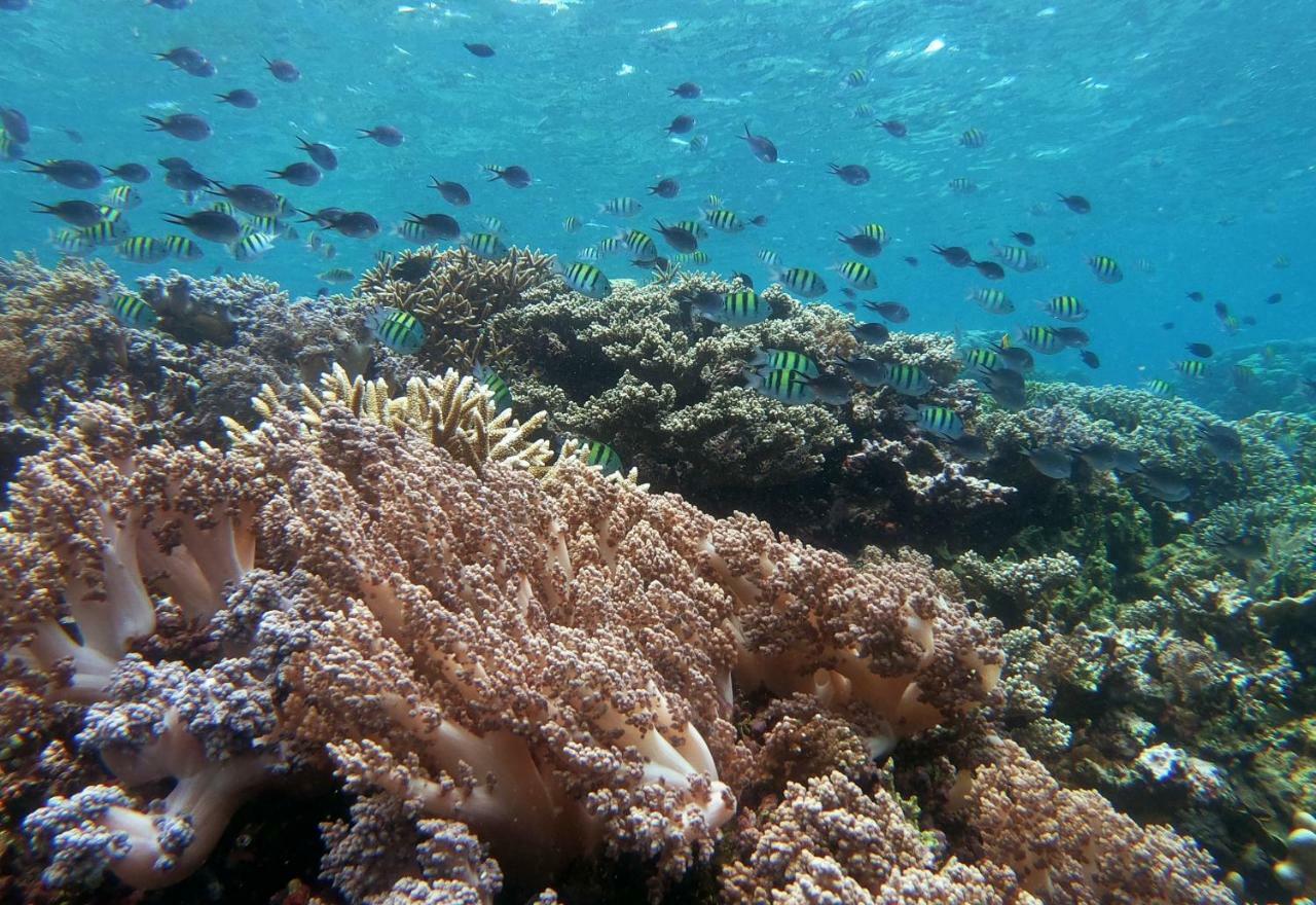 3Will Bunaken Dive Resort Exteriér fotografie